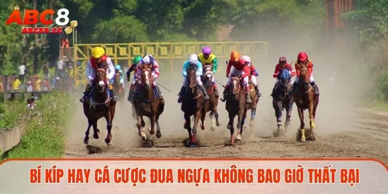 Bí kíp hay cá cược đua ngựa không bao giờ thất bại