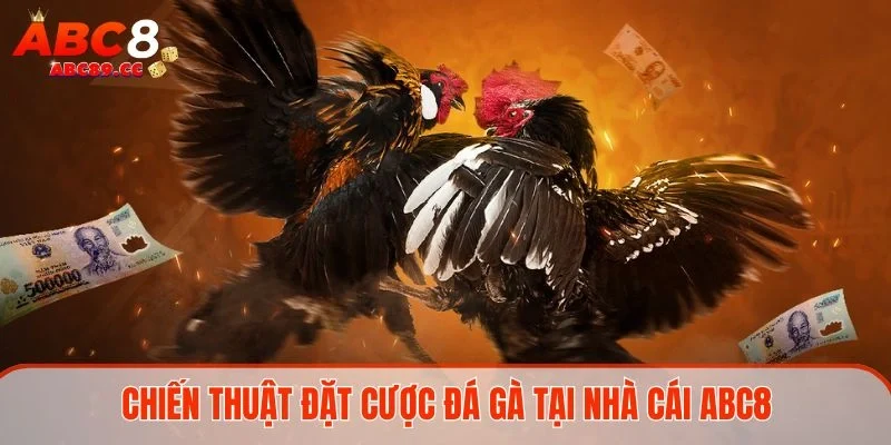 Chiến thuật đặt cược đá gà tại nhà cái ABC8